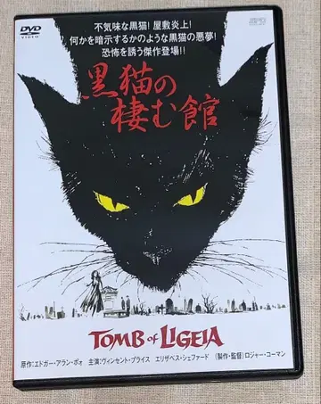 검은 고양이의 집 DVD 단종