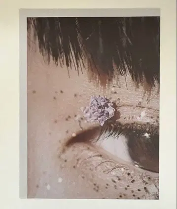 카네코 아야노 축제 혜택 포스터