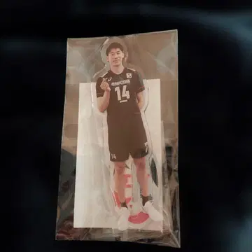 배구 선수 아크릴 스탠드 14번 이시카와 유키 선수