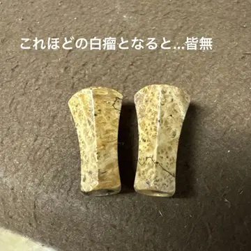 슈프림 스타일 신형 펜타곤 노멀 롱 2개 세트