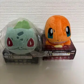 큥구루미 리자드 이상해씨