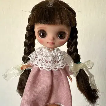 커스텀 미니 브라이스