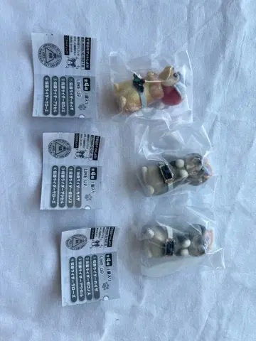 가면 원더 세트 판매