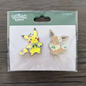 포케파크 칸토 피카츄 이브이 핀 배지
