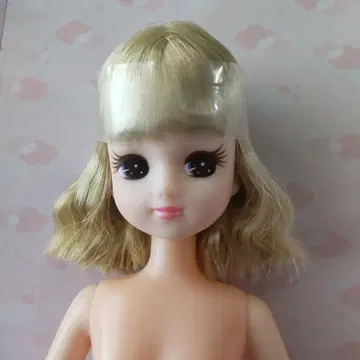 리카짱 인형 본체