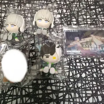 WIND.BREAKER 다이소