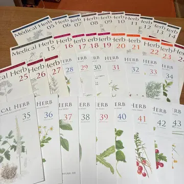 일본 메디컬 허브 협회 뉴스레터 Vol.05-Vol.43