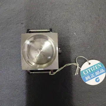 CITIZEN 케이스
