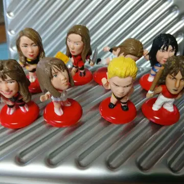 프로 격투 히어로즈 여자 프로레슬링 8체 세트 덤 1체