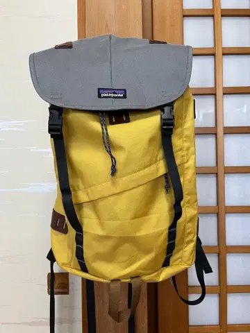 새상품급 patagonia 백팩