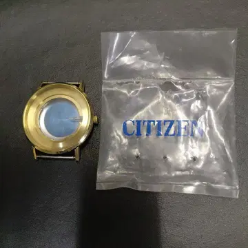 CITIZEN 케이스