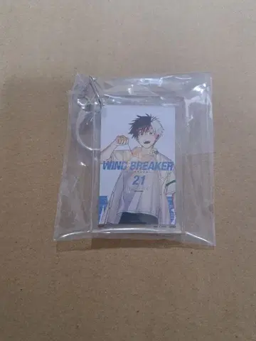 WIND BREAKER 제일복권 F상 21권 단행본 아크릴 키링 벚꽃