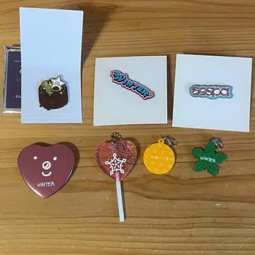aespa 윈터 핀 배지 키링 참 도쿄돔 굿즈