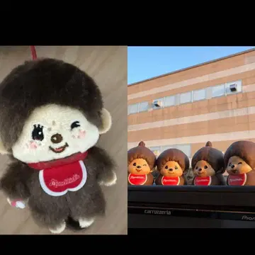 몽치치 일어나기 가챠가챠 컴플리트 전 4종 봉제 인형 스트랩