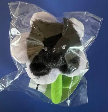 몬스타엑스 아이엠 창균 몽뭉치 냥균 키링