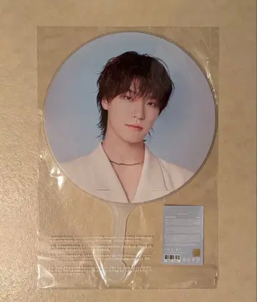 디노 부채 NEW_ SEVENTEEN 이미지 피켓