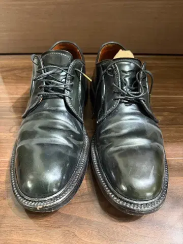 알든 코도반 플레인토 26cm