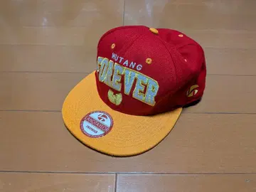 LANDTAYLOR WU-TANG FOREVER SNAPBACK