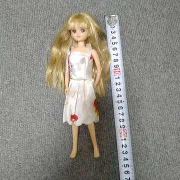 리카짱 인형 본체