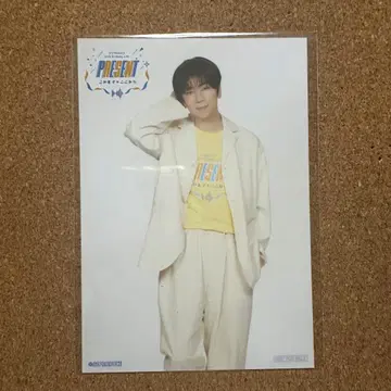 81 프로듀스 니시야마 코타로 랜덤 브로마이드