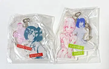 이 vaikka 노래 아크릴 참 컬렉션 2점