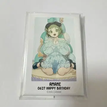 MILGRAM 밀그램 아마네 벌스데이