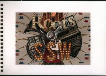 LIVE TOUR 2013 Roots of SSW 사카모토 마아야 팜플렛