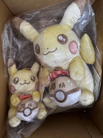 30주년 기념 피카츄 마스코트 & 봉제 인형 세트 2개 세트