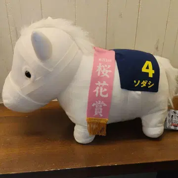 서러브레드 컬렉션 BIG 소다시 택 포함