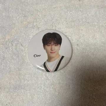 SEVENTEEN 세부치 디노 HOME 캔뱃지