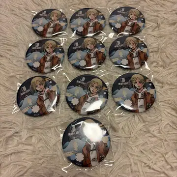 진격의 거인 아니 레온하트 캔뱃지