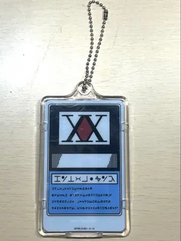 HUNTERHUNTER 헌터 라이선스 PIICA