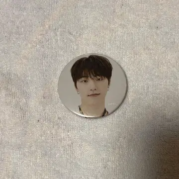 SEVENTEEN 세븐틴 디노 캔뱃지