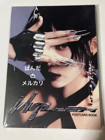 aespa whiplash MD POSTCARD BOOK 윈터