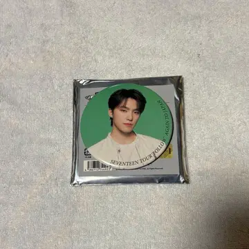 SEVENTEEN 세븐틴 세부치 디노 follow again 캔뱃지