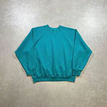 USA제 80s 90s 프룻 오브 더 룸 무지 맨투맨 터콰이즈