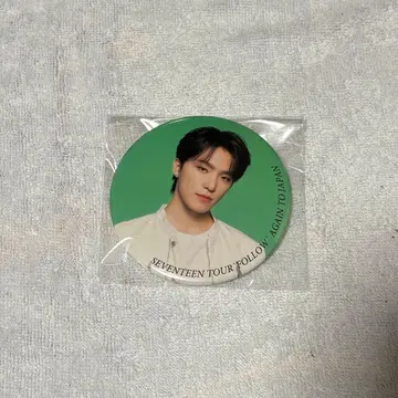 SEVENTEEN 세부치 디노 follow again 캔뱃지