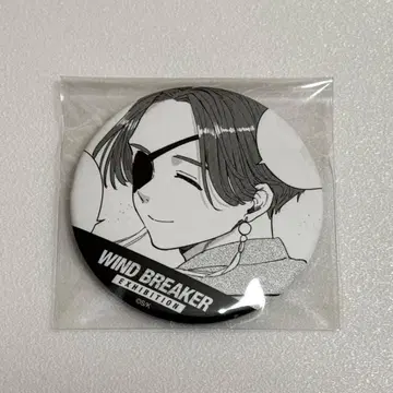WIND BREAKER 윈브레 윈브레전 캔뱃지 소방