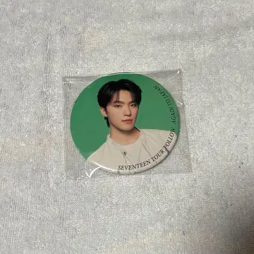 SEVENTEEN 세븐틴 디노 follow again 캔뱃지