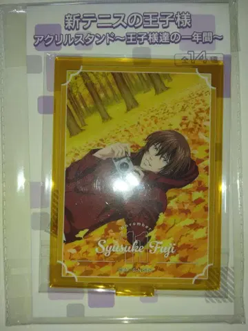 신 테니스의 왕자님 왕자님들의 1년간 후지 슈스케 아크릴 스탠드