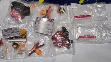 원피스 카드 게임 피규어 컬렉션 2개 세트