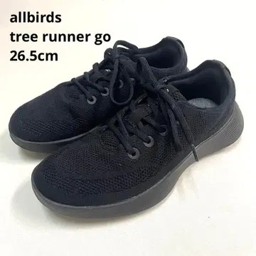 all birds 올버즈 트리러너고 26.5