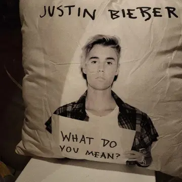 저스틴 비버 What Do You Mean? 쿠션