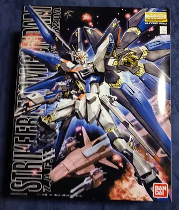 MG 1/100 스트라이크 프리덤 건담