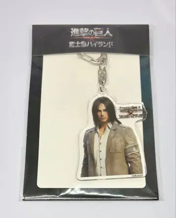 진격의 거인 엘렌 아크릴 키링 후지큐