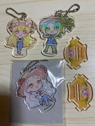 타임 프리파라 MY DREAM 아크릴 스탠드 세트