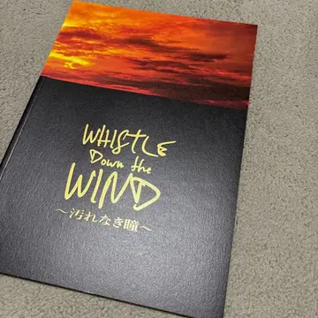 휘슬 다운 더 윈드 티 없이 맑은 눈 팜플렛