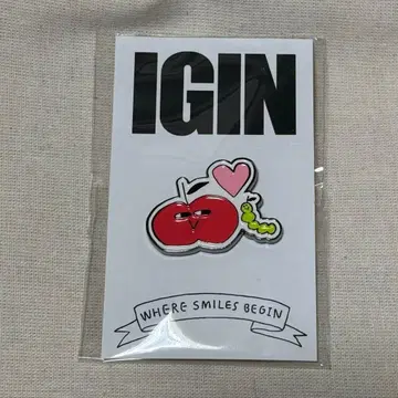 IGIN 핀배치 BTS JIN
