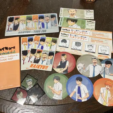 하이큐 동부 동물원 콜라보 세트