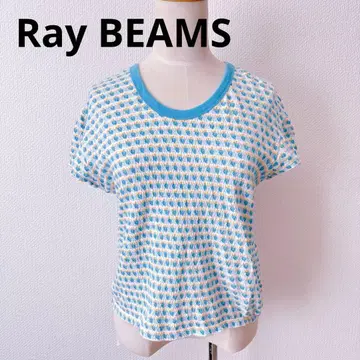 Ray BEAMS 후르츠 패턴 자카드 반팔 T셔츠 빔즈 일본제
